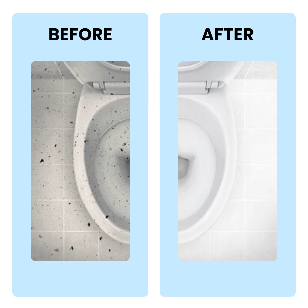 Toilet Cleaner - Removes Tough Stains and Odour - 1 Litre