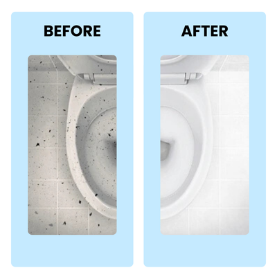 Toilet Cleaner - Removes Tough Stains and Odour - 1 Litre