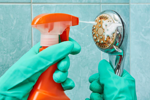 How to Clean Your Showerhead Properly
