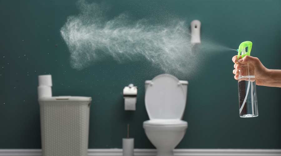 How to Make Bathroom Smell Good