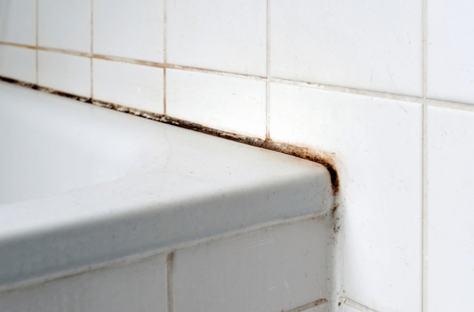 How to Remove Mold From Bathroom