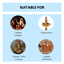 Pooja Items Cleaner – Copper & Brass Polish - No Metal Loss - 500 ML