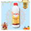 Pooja Items Cleaner – Copper & Brass Polish - No Metal Loss - 500 ML